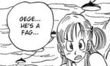 bulmafag