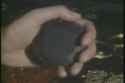 touchstone_thumb.jpg