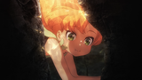 dive