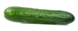 360_F_207172604_mkIRkBM0BxC4O3nEhwL8u39VV5KKp6xR