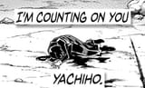 Counting on Yacchi
