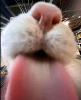 1693666513048955