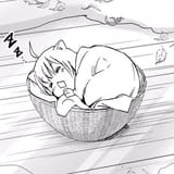 Rhombus in a basket