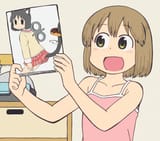 niikura nano