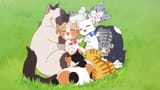 [Serenae] Wonderful Precure! - 46 (1080p).mkv_snapshot_10.23.098