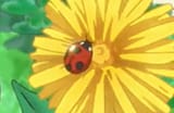 who can defeat him