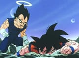 Bejita and Goku