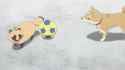 shiba dog vs dog dog_thumb.jpg