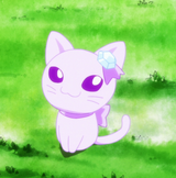 kitty