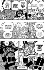 Onepiece_1043_g_017 (1)