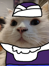 PiCATlo
