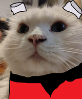 ss