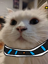 CATrus