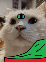 TIENcat