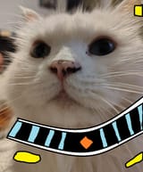 ss