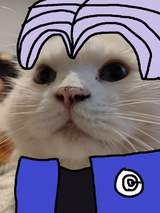 Future cat