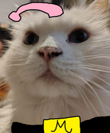 ss