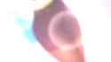 Puniru.Is.a.Cute.Slime.S02E02.Going.on.a.Journey.with.My.Childhood.Friend.Slime.in.Another.World..And.Valentines.Too.1080p.NF.WEB-DL.JPN.AAC2.0.H.264.MSubs-ToonsHub-[17.36.305-17.42.353]_thumb.jpg
