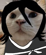 ss
