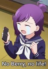 no berry no life