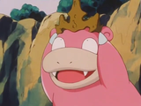 A Crowning Achievement Pokémon