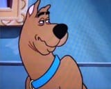 Scoob