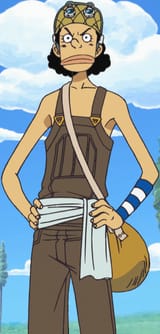 Usopp_Anime_Pre_Timeskip_Infobox