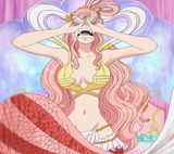 shirahoshii