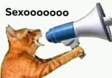 sexo
