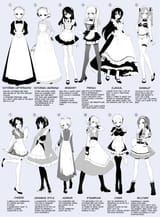 maidtypes