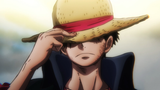 luffycoat