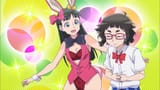 galko ojo bunny