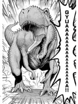 net-065