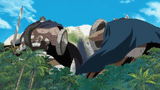 one-piece-dorry-brogy