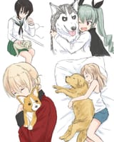 girls und panzer und hund