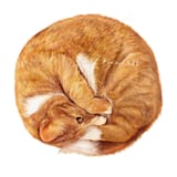 7f147aebb999aafefdae324ca2cd7f99