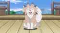 anipoke_PR - 1943943410077069794_thumb.jpg