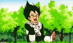 dragon-ball-z-vegeta