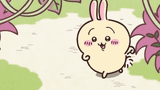 Usagi Chiikawa walking