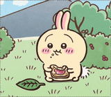 toast-usagi