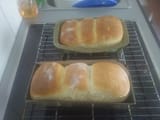 Weißbrot(Tangzhong) 2023_06_17-02