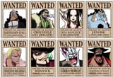 wanted_shichibukai_by_lordgandulfo88-d329nmp[1]