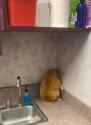 1752611226509[1]_thumb.jpg