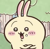Usagi_Haa_