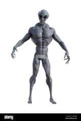 3d-illustration-of-a-grey-alien-with-muscles-in-a-defensive-pose-isolated-on-a-white-background-2G8P98J