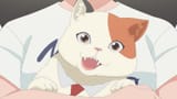 Me.and.the.Alien.MuMu.S01E15.MuMu.and.Photosynthesis.1080p.AMZN.WEB-DL.JPN.DDP2.0.H.264.ESub-ToonsHub.mkv_snapshot_00.04.19_[2025.07.16_21.15.34]02