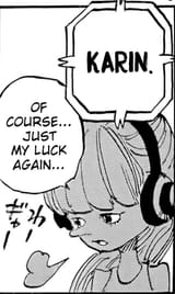 karin