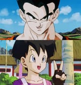 gohan and videl