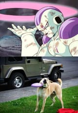 brutal attack