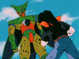 cell 17